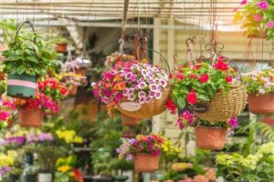 As flores suspensas em vasos revestidos de sextos artesanais, obra de grande valor artesanal.