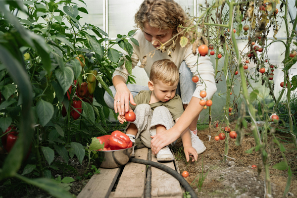 Ensine as crianças o valor de plantar e o prazer de colher.