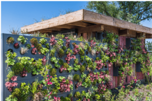 Minha casa, meu jardim em flor.