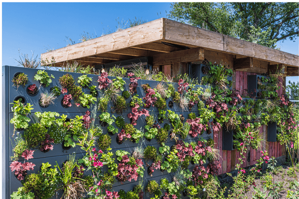 Minha casa, meu jardim em flor.