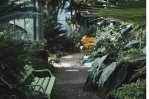 Descansar ao lado de um jardim. Traz paz ao coração.