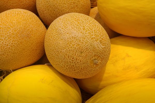 Consumir frutas, diariamente, sem agrotóxicos, plantios urbanos.