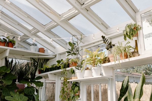 Horta dentro de casa, um apartamento aconchegante.