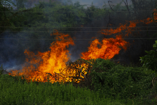 Guerras, destruições, falta de compaixão e amor a vida humana, somos todos filhos de um único Deus, que tudo fez, tudo criou por amor a humanidade. Deus não fás acepção de pessoas. Deus trata todos de forma igualitária e imparcial. O Amor de Deus é Genuíno.