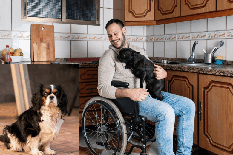 Amigos leais, para todas e qualquer hora.