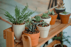 Construir para por vasos.