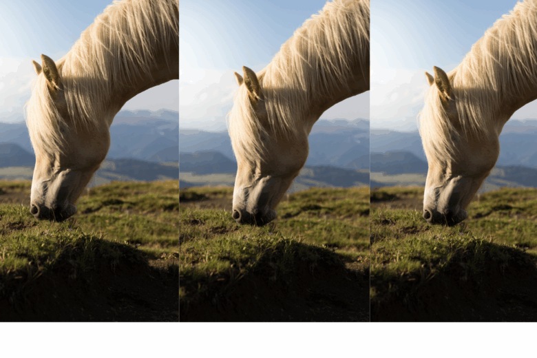 Porque aos seus anjos dará ordem a teu respeito, para te guardarem em todos os teus caminhos." (Salmo 91:11)