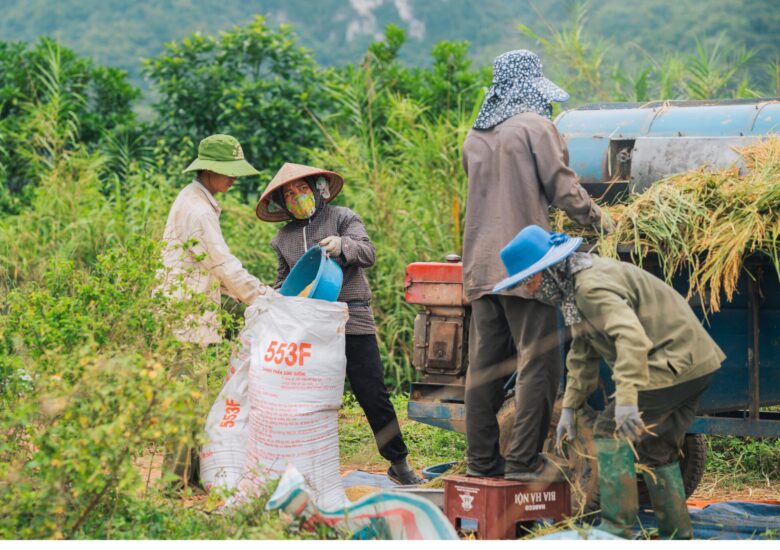 Trabalhadores do campo, heróis anônimos.