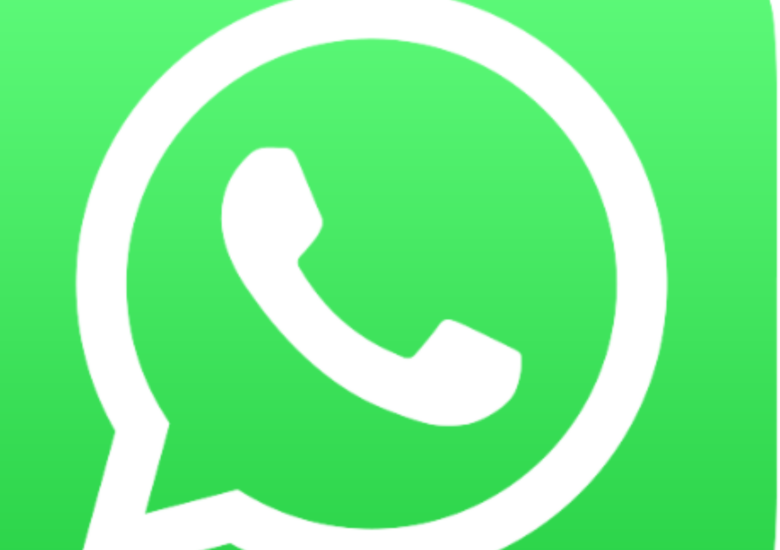 WhatsApp professional